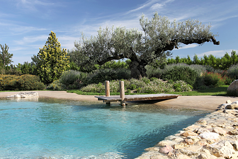 piscine-plan-d-eau-naturel/piscine-plan-d-eau-naturel-vignette